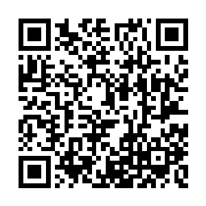 凡是看见剑尘的村名都一脸热情的和他打着招呼二维码生成