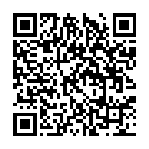 凡是被感染了利什曼病原体的患者脾脏一定会肿大二维码生成