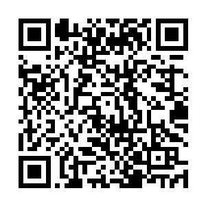 凤三公子在京城的名声即使是她在宫里也是有所耳闻的二维码生成