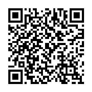 凤凰便发出一声无上神威受到挑衅的愤怒鸣叫声二维码生成