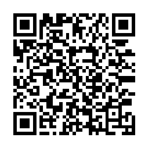 凤凰家族的大长老正在清点这一次妖魔对抗的牺牲和收获二维码生成