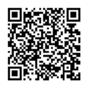 凤君泽看了看怒目的白长卿又看向一派闲适的凤君曜二维码生成