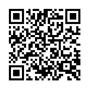 凤大小姐今日也是来给定安王妃贺寿的么二维码生成