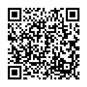 凤小熊为日后的口粮发愁的小眉头都挤成了一团二维码生成