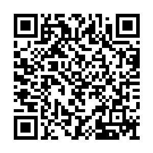 凤瑾元一看京兆尹居然把衙门的官差都给带来了二维码生成