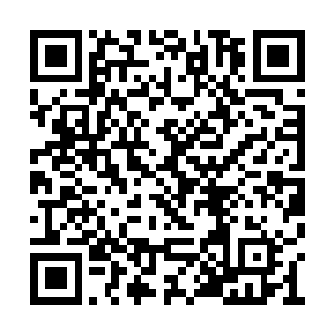 凤秋白才从差点失去妹妹的惊慌情绪中脱离出来二维码生成