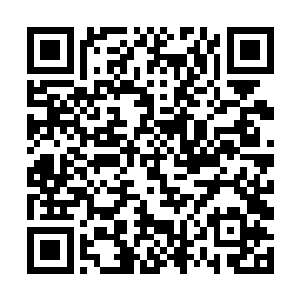 凤羽珩不得不感叹这孩子的确让云麓书院教得非常好二维码生成