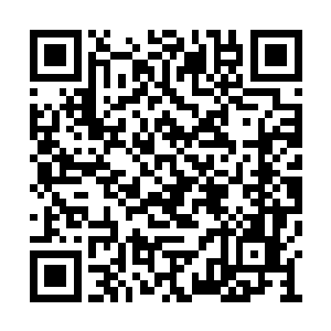 凤羽珩瞅着她家夫君那狐狸一般的笑又泛了起来二维码生成