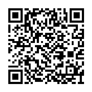 凤辰哥哥可是在保护我们的同时将那个人打败的二维码生成