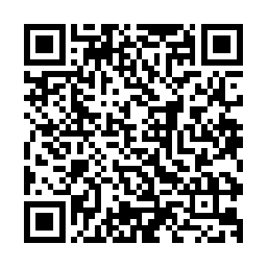 凭什么叫一个刚成立十多年的政府来治理本该属于我们的土地二维码生成