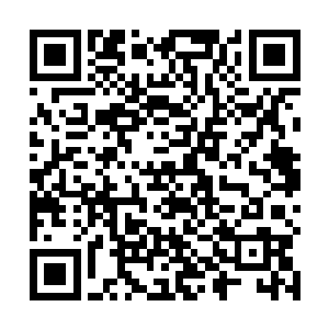 凭借一人之力想要对付炼虚后期的修士也是绝不可能的二维码生成