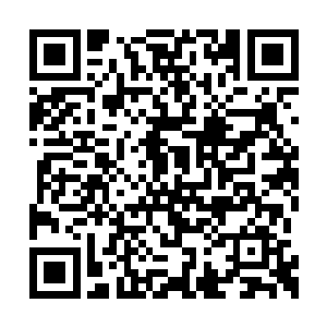 凭借二品相师的境界也有一定的几率召唤出阴司二维码生成