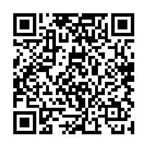 凭着千锤百炼的基础剑技和生死血战得来的战斗本能二维码生成