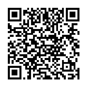 凭着自身惊人的悟性领悟出来的完全属于自己掌控的领域二维码生成