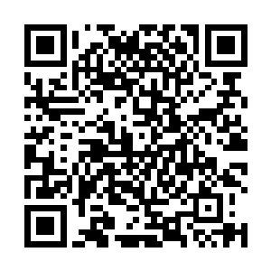 凭高右使的身份怎么的也该有个寇家高层人物出来相迎二维码生成