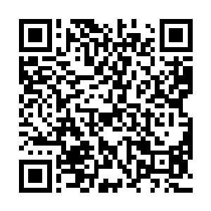 凯文他很想下去看看曾经昔日的恩怨难分难计算的邻居二维码生成