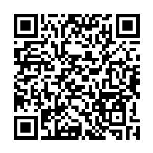 凯特家族……一共五大家族一天之间所有家族的族长死亡二维码生成