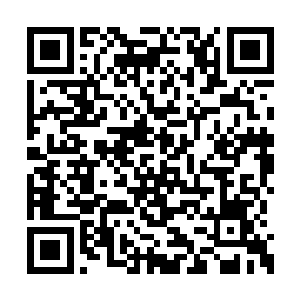 凯莉舰长将大量元始文明制造和操纵星舰的信息二维码生成