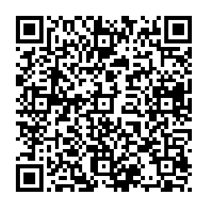 凶恶的眼睛和跃跃欲试的准备扑杀动作让刚才还处于劫后余生的欢喜的族人白了脸二维码生成