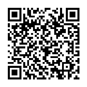 凶残的寒冰怪兽和雪精灵等智慧种族混杂在了一起二维码生成