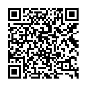 出于职业本能的把包里的吃饭的家伙给拿了出去二维码生成