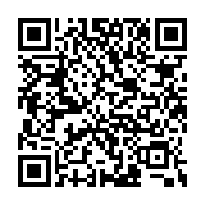 出卖老婆女儿的人渣实在是没有半点好感可言的二维码生成