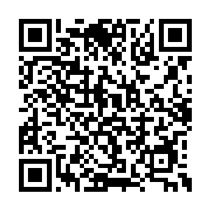 出去之前他有嘱咐泽田弘树一些需要注意的事项二维码生成