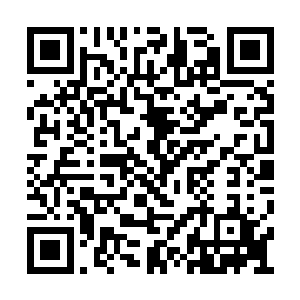 出去和自己的学生们开始商量从哪里开始寻找了二维码生成