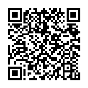 出手就是相当厉害的杀招……显然也是打着了凡一样的主意二维码生成