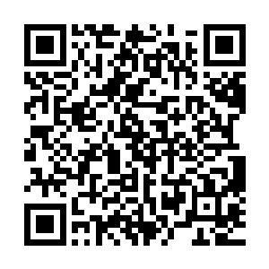 出招第一击便会将平时温养之时积攒下来的威能全部爆发出来二维码生成