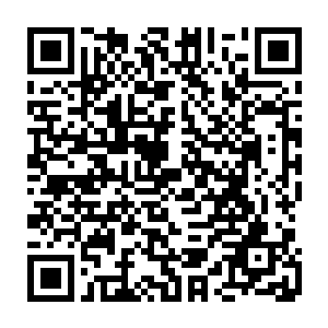 出现在太夏天空之中的各种飞机的种类和数量就从一年前的几种暴增到了数百种二维码生成