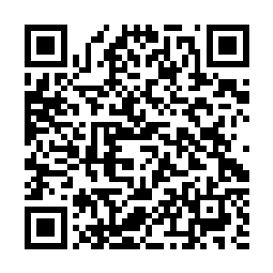 出现在巴克面前的就是一个大约四五十平米的简单一室一厅二维码生成