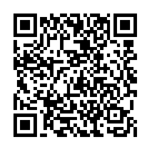 出现在虎禅真尊所化的巨大混元宗道魔法相之上二维码生成