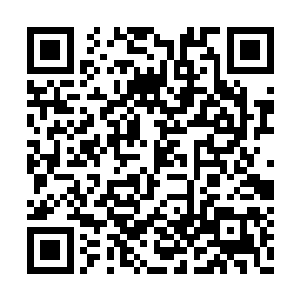 出现的厉害妖兽尽然和城里最强的人一样的实力二维码生成