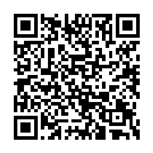 出生以后的禅蛇和一般的蛇类几乎没有什么区别二维码生成