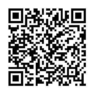 出的根茎将会被严默体内已经同化的返魂树吸收二维码生成