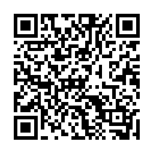 出逃之后丁羽带着两个小家伙简单的吃了一些东西二维码生成