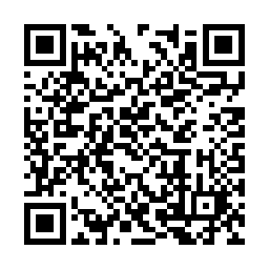 刀天圳尽管也对身后紧追不舍的群兽感到头皮发麻二维码生成