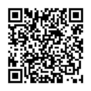 刀尖竟然穿透前面的膝盖骨而出…这剩下在地上哀嚎的份二维码生成