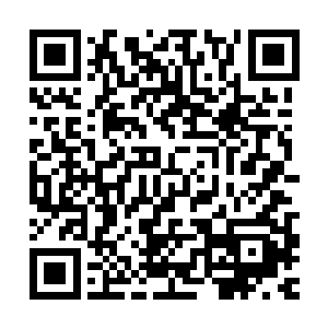 刀山火海的其他人都被蓝海派回蜂巢去进行疏散以及物资转移了二维码生成