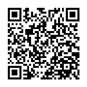 刀无双的身影突然在那粉衣女子沈凝嫣身侧出现二维码生成