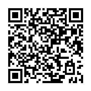 刀法乃至于经验都完爆这些黑帮成员不知道几条街二维码生成