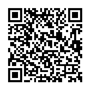 分别与蓝岛市委市府班子进行了个别谈话和交流二维码生成