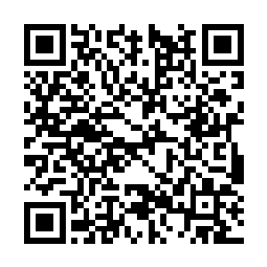 分别为两名天神初期境界的老祖维纳从和维纳眩光二维码生成