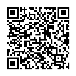 分别以词曲作者和音乐家协会会员的身份分别独自出席二维码生成