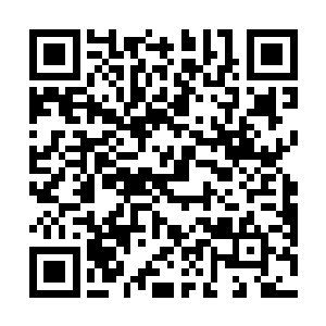 分别将这三个管状注射器狠狠刺向了安德雷斯的颈动脉二维码生成