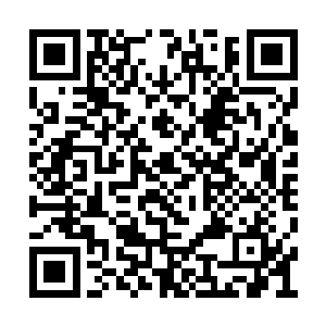 分别是鳄人族的狂力圣主以及蝎人族的瞬影圣主二维码生成