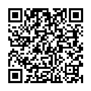 分别站到自己的生肖队伍中按顺序来饮用这生肖美酒二维码生成