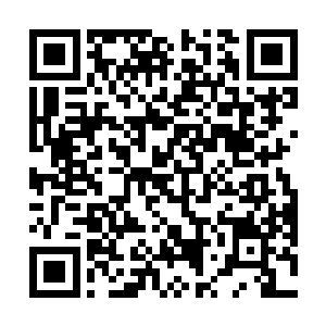 分别被坐在前方的米色双人布艺沙发的叶惟和艾米拿着二维码生成