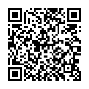 分成两拨催动符魔兽战车冲向北门和南门的无数海洋魔兽二维码生成